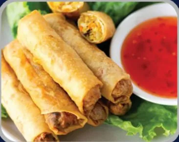 Veg Spring Roll